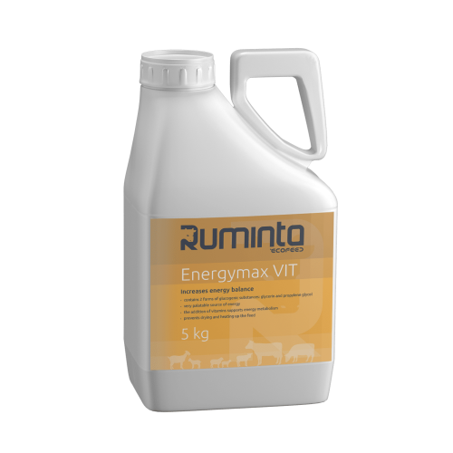 5-l-energymax-vit.png