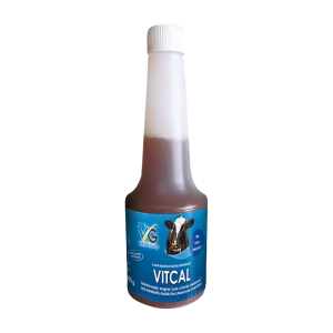 Vitcal  VITTRA 600 g  - uzupełnia niedobory wapnia i magnezu