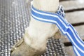 87651501-delaval-anti-split-protection2.jpg