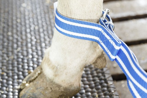 87651501-delaval-anti-split-protection2.jpg