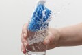 dish-brush-master2.jpg