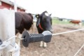 fencing_2763.jpg