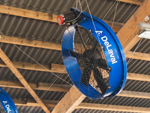 ddf1200.jpg