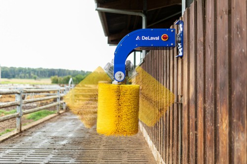 delaval-scb-cepillo-02.jpg