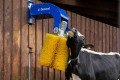 delaval-scb-mainda.jpg