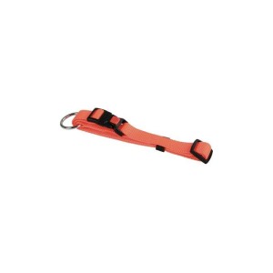 Obroża Miami, 30 - 45 cm, 15 mm, pomarań