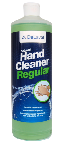 hand cleaner regular 1.png